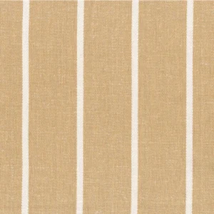 Close-up of a Madeline Marigold featuring vertical beige and white stripes.