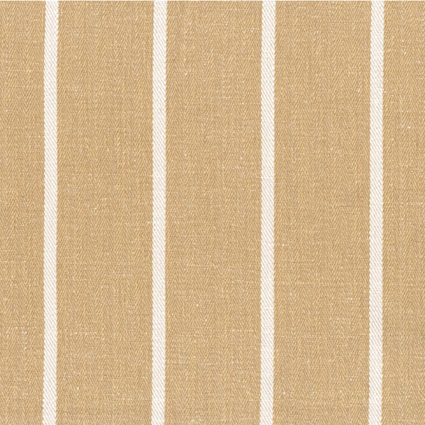 Close-up of a Madeline Marigold featuring vertical beige and white stripes.