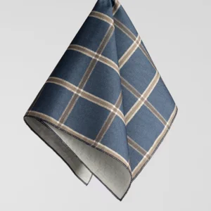 Blue and beige checkered cloth hanging against a plain background.