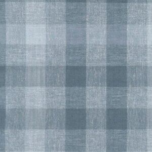 A close-up of a blue and gray plaid fabric pattern with a textured appearance.